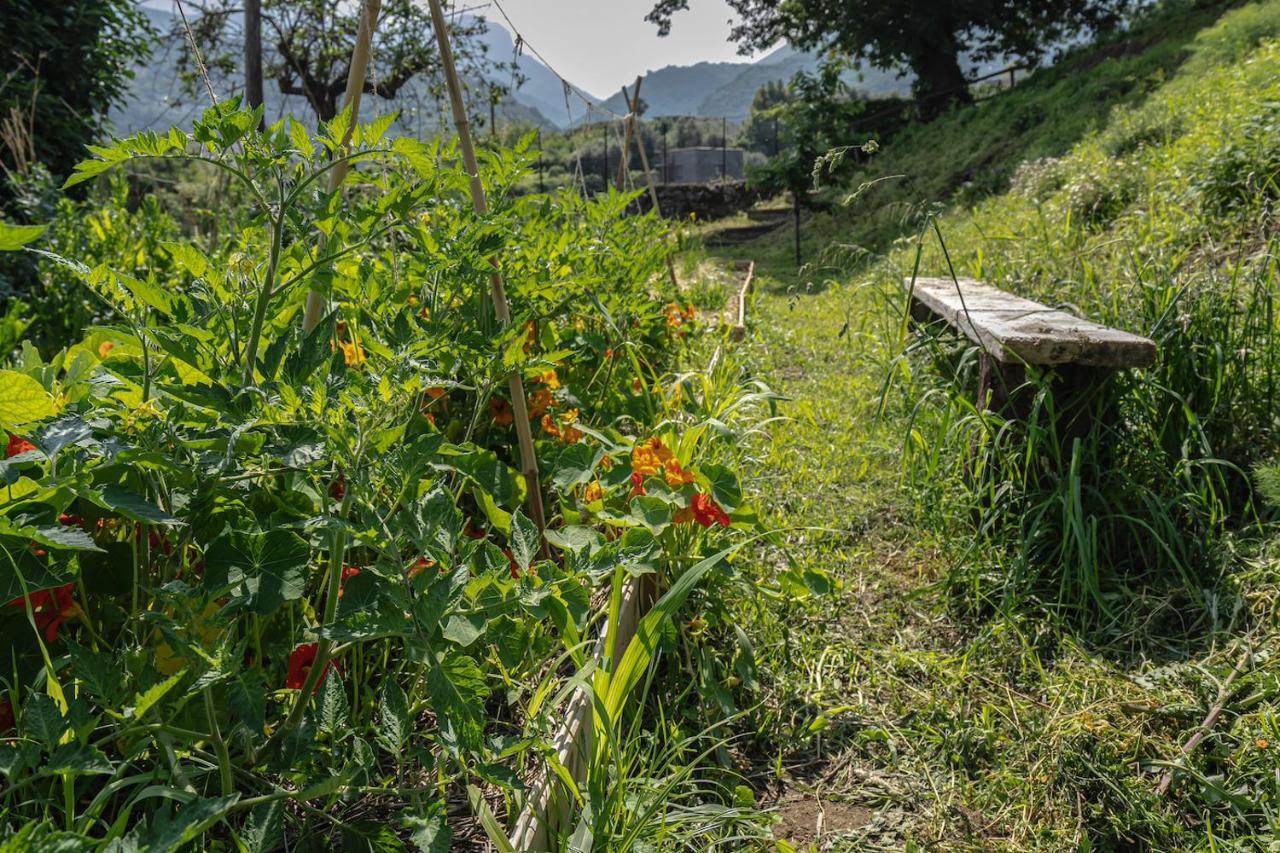 Villa Aurora Vico Equense Dış mekan fotoğraf